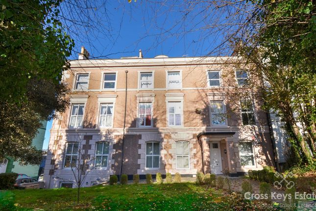 More Property Information