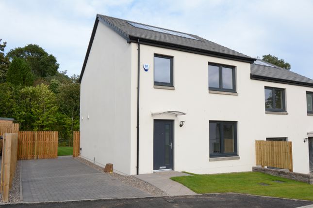 Thumbnail Semi-detached house for sale in Orchard Way, Hillside, Montrose