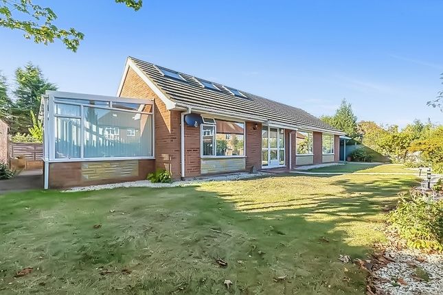 Thumbnail Bungalow for sale in Stompits Road, Holyport, Maidenhead