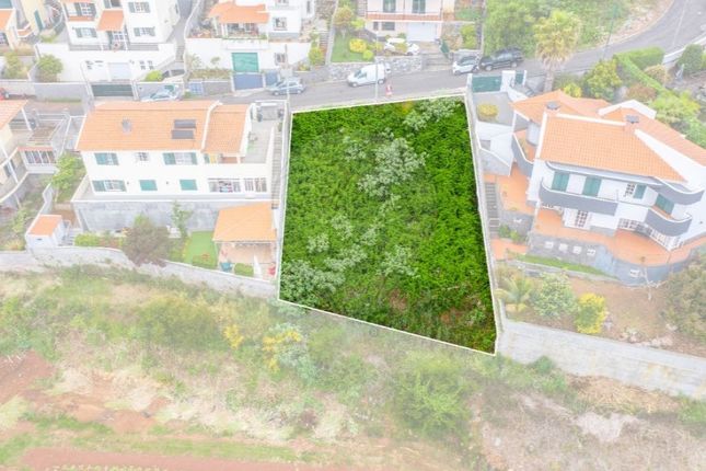 Thumbnail Land for sale in Camacha, Santa Cruz, Ilha Da Madeira