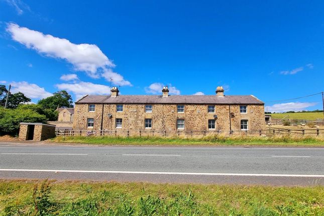 Thumbnail Cottage for sale in Shaw House Cottages, Newton, Stocksfield