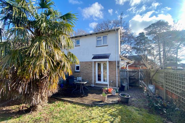 Thumbnail Semi-detached house to rent in Meadowsweet Road, Creekmoor, Poole
