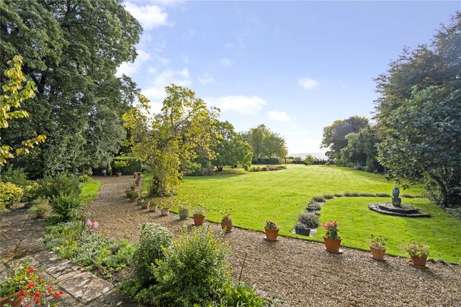 Rear Gardens