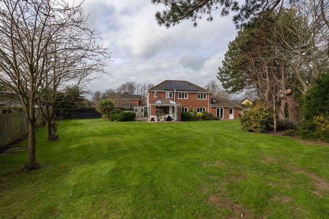 Pinegrove House, Bellingham Court, Bedlington photo 4