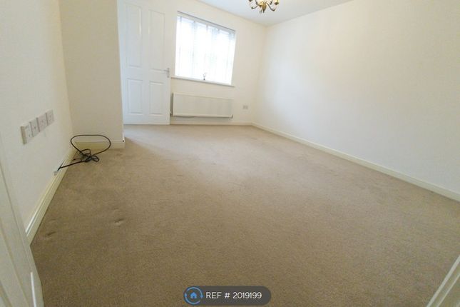 Semi-detached house to rent in Helsinki Drive, Hinckley