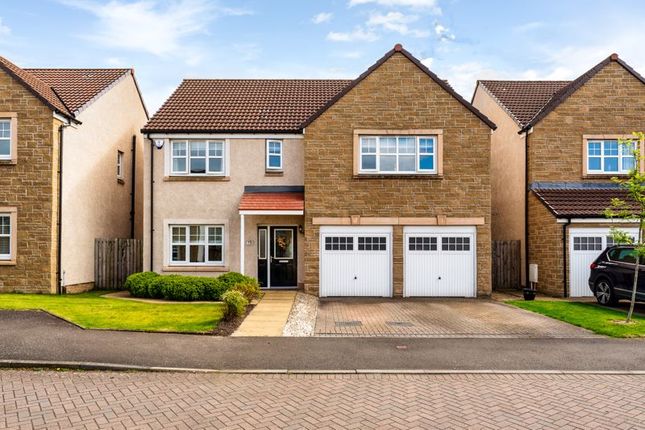 Thumbnail Detached house for sale in Bramble Avenue, Larbert