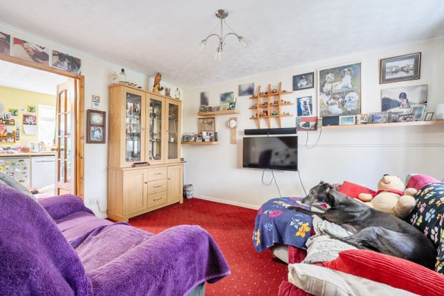 128 Palace Meadow, Chudleigh Newton Abbot, Newton Abbot photo 3