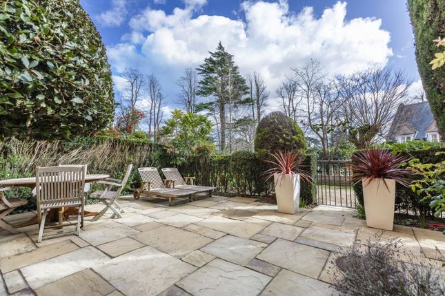 17, Holloway Drive, Virginia Park photo 4