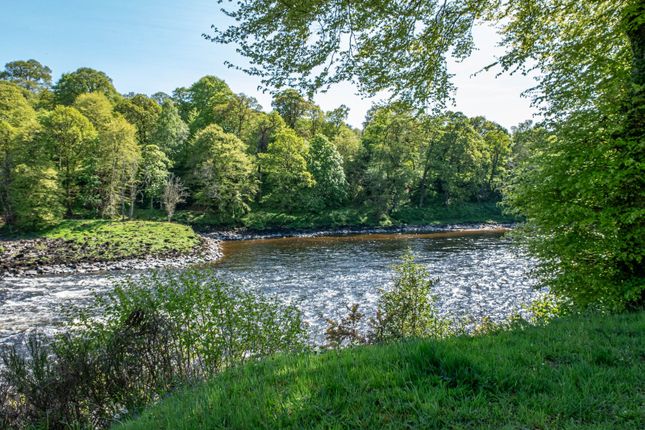 River Tay Salmon Fishings,, Cargill, Perthshire photo 5