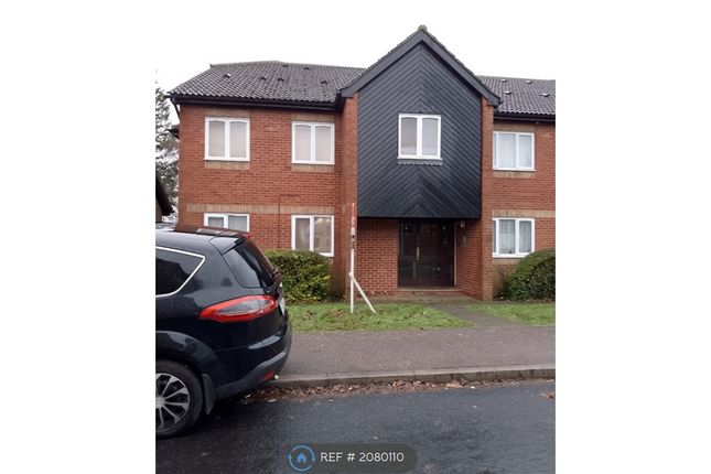 Thumbnail Flat to rent in Rodeheath, Luton