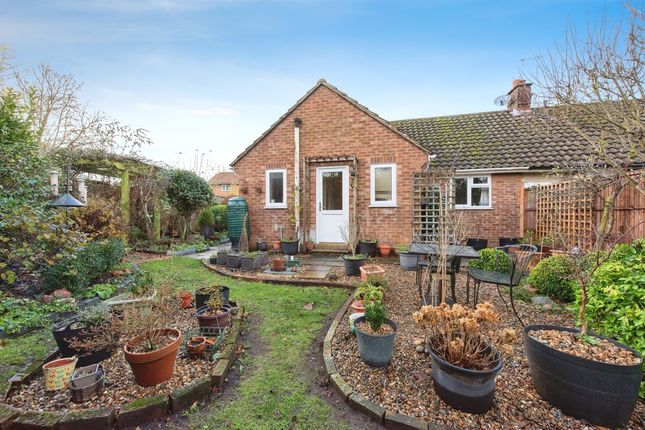 Thumbnail Terraced bungalow for sale in School Close, Stanton, Bury St. Edmunds