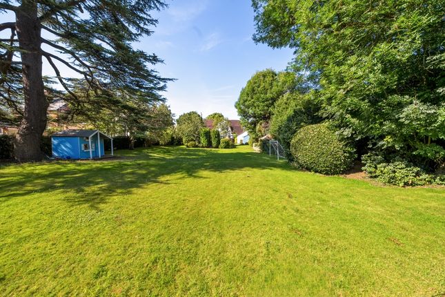 6, Avenue Road, Epsom photo 4