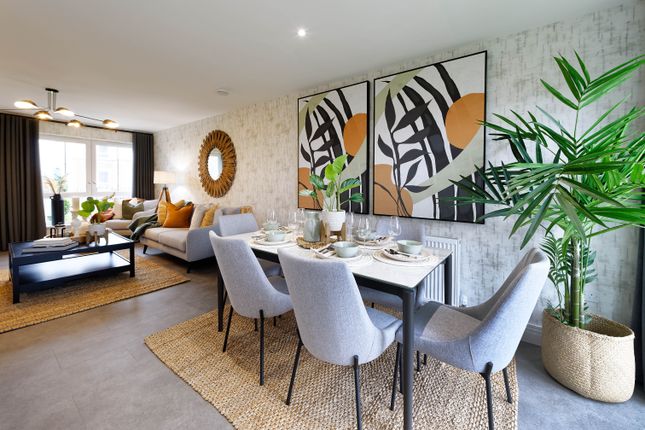 Plot 61, 65, Elderslie Road, Glasgow photo 4