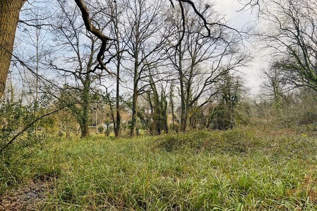 Thumbnail Land for sale in Botley Road, Southampton