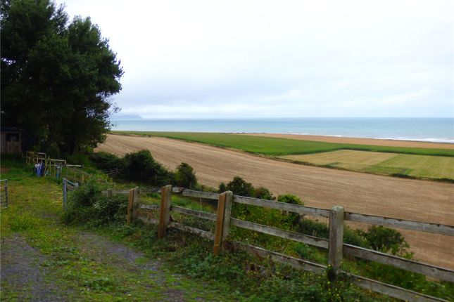 Tanrallt,, Llanon, Ceredigion photo 2
