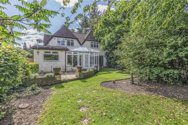 Thumbnail Detached house to rent in Chestnut Drive, Englefield Green, Surrey