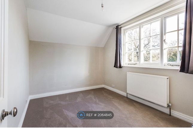 Semi-detached house to rent in Pitland Street, Holmbury St. Mary, Dorking