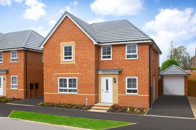 Thumbnail Detached house for sale in "Radleigh" at Carrs Lane, Cudworth, Barnsley
