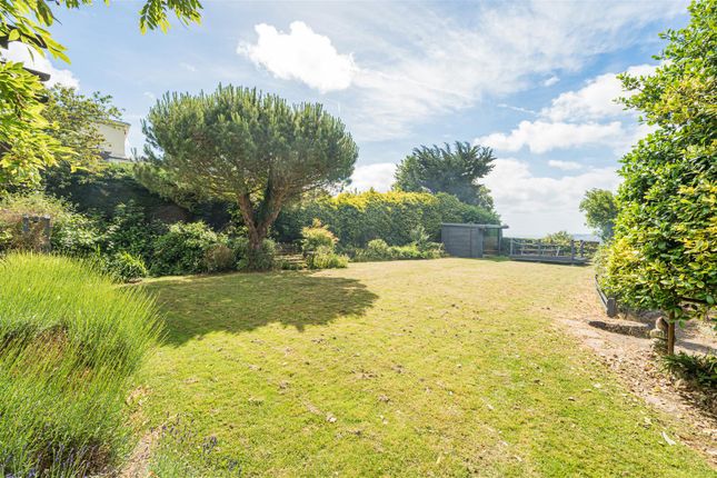 Carlingford, Teignmouth Road, Maidencombe photo 2