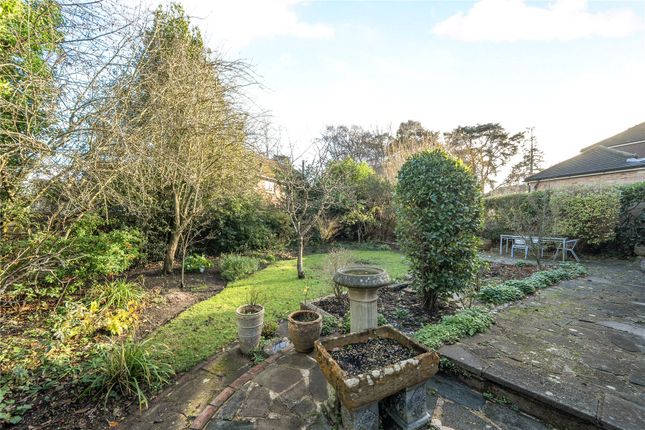 139, MacDonald Road, Surrey photo 2