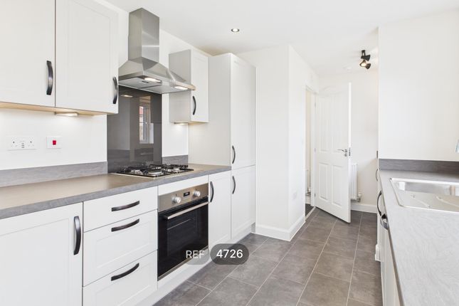 Kitchen / Living Area