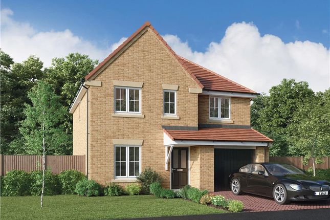 Thumbnail Detached house for sale in "The Skywood" at Elm Avenue, Pelton, Chester Le Street