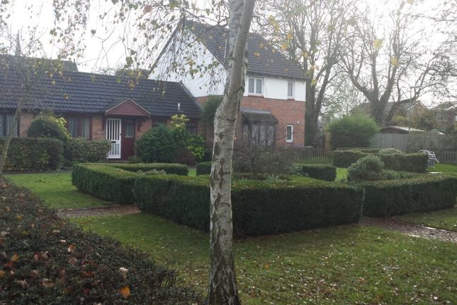 Thumbnail Bungalow to rent in Kings Chase, East Molesey, Surrey