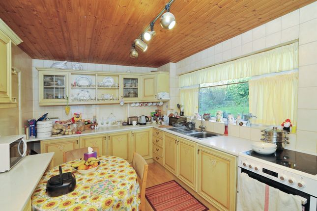 428, Harold Road, Hastings photo 3