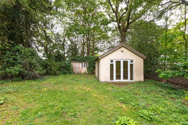 Grove Cottage, Frettenham Road, Norwich photo 4