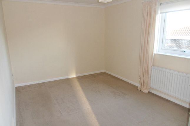 65, North Shields photo 5