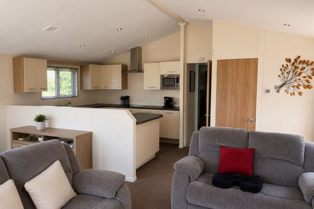 Willerby Clearwater, Butt Lane, Great Yarmouth photo 4