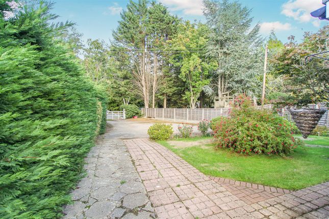 Detached bungalow for sale in Church Close, Ongar Road, Kelvedon Hatch, Brentwood