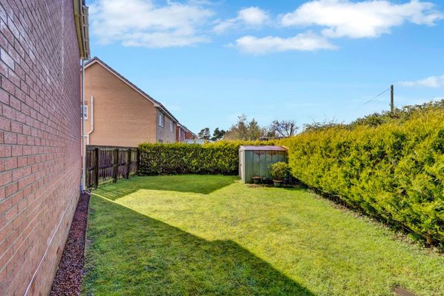 Property for sale in 16 Clonbeith Court, Kilwinning