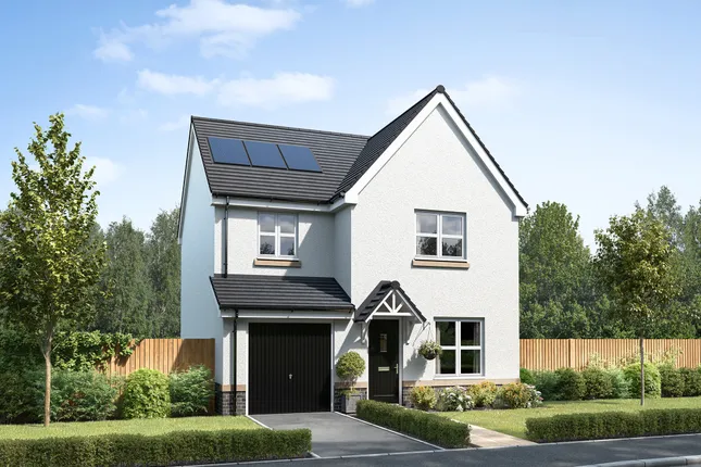 Persimmon Homes - Primrose Gardens