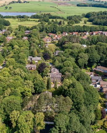 Dji_0930 Cropped.Jpg