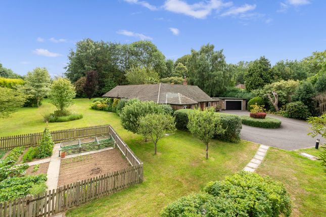 Detached bungalow for sale in Sandhurst Lane, Bexhill-On-Sea