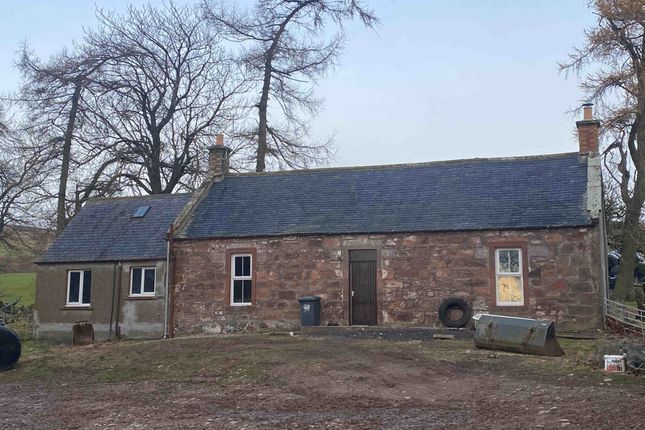 Detached house to rent in Lethnot, Edzell, Brechin