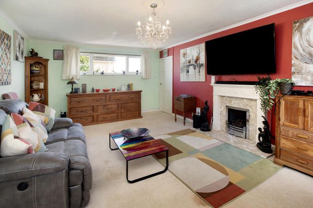 24, Southdowns Road, Dawlish photo 3