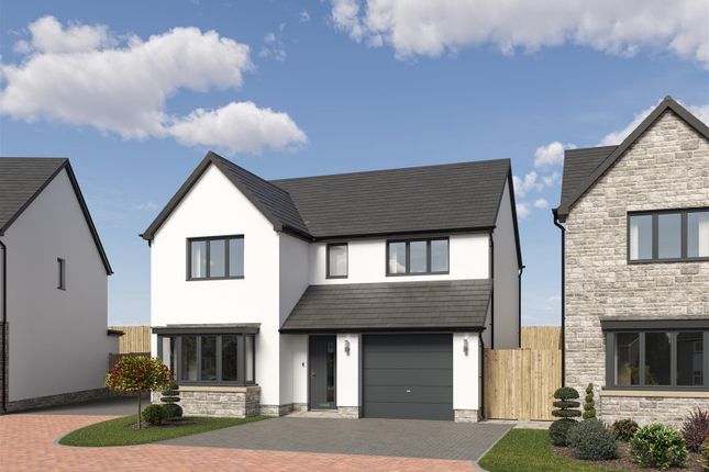 Thumbnail Detached house for sale in The Oystermouth - The Willows, Olchfa, Sketty, Swansea