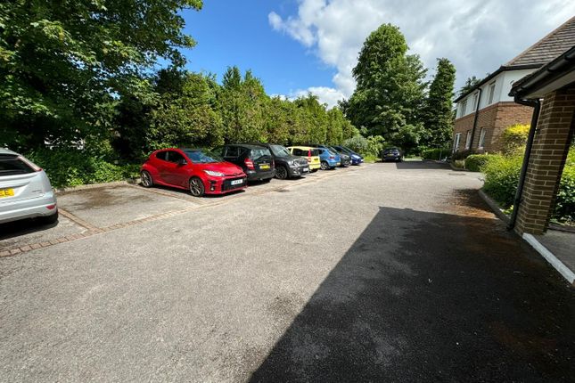 Beechwood Gardens, Caterham photo 4