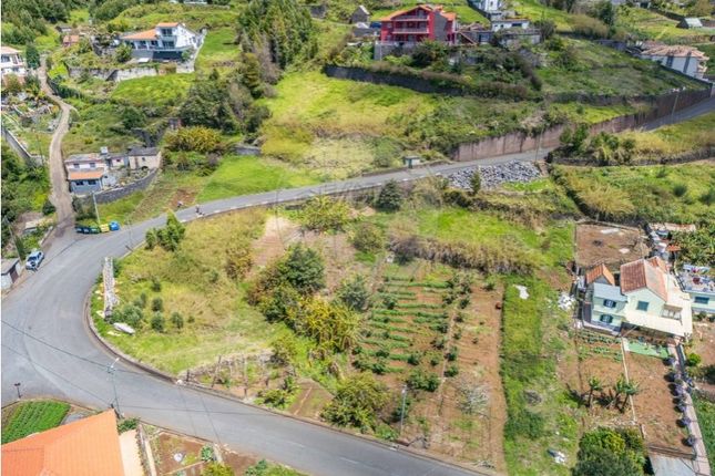 Thumbnail Land for sale in Calheta, Calheta (Madeira), Madeira