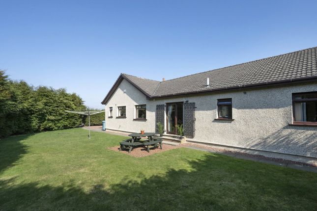 Thumbnail Bungalow for sale in Bridge Street, Longriggend, Airdrie