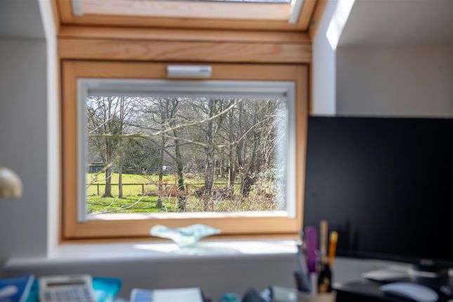Window.Jpg