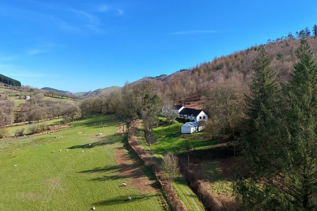 Erw Hen, Pumpsaint, Llanwrda photo 3