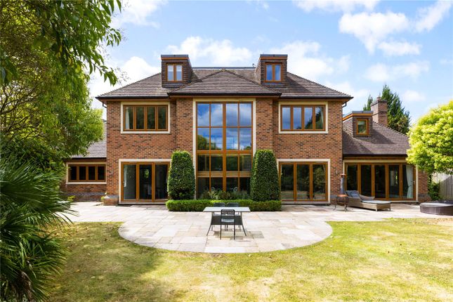 Rear Elevation