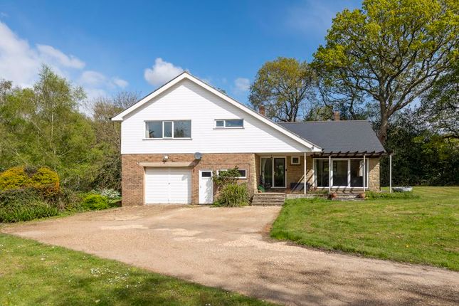Thumbnail Detached house for sale in Piltdown, Uckfield