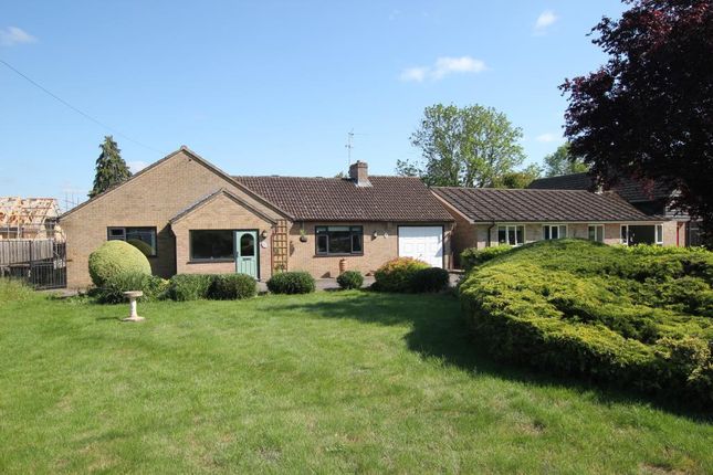 Thumbnail Detached bungalow for sale in Straight Furlong, Pymoor, Ely