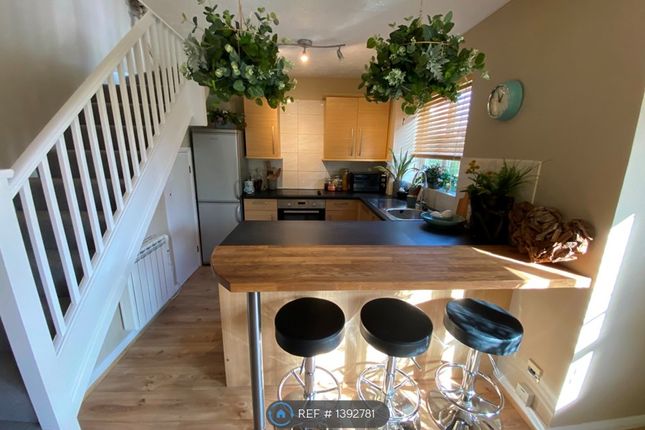 Thumbnail End terrace house to rent in St, St, Albans