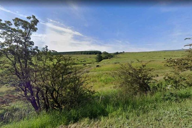 Land to rent in Kirkconnel, Sanquhar