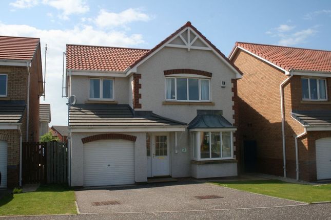 Thumbnail Detached house to rent in 31 Wilson Place, Dunbar